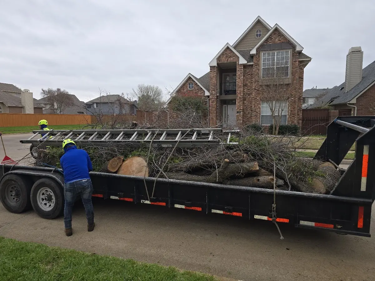 Expert Lot Clearing with proper safety equipment in Redbird